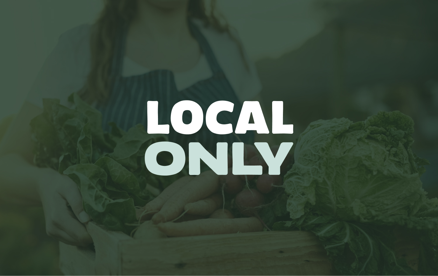 herr-buerli-local-only